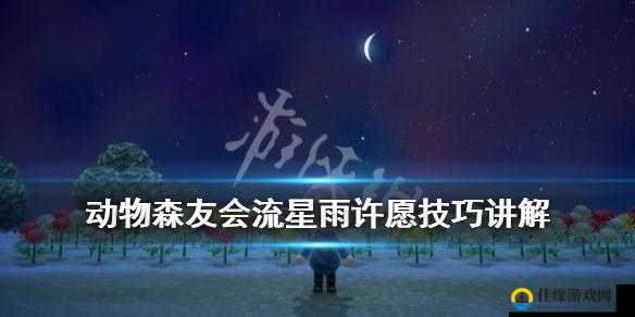 动物森友会中流星出现的条件是什么？Switch动物之森流星雨时间解析